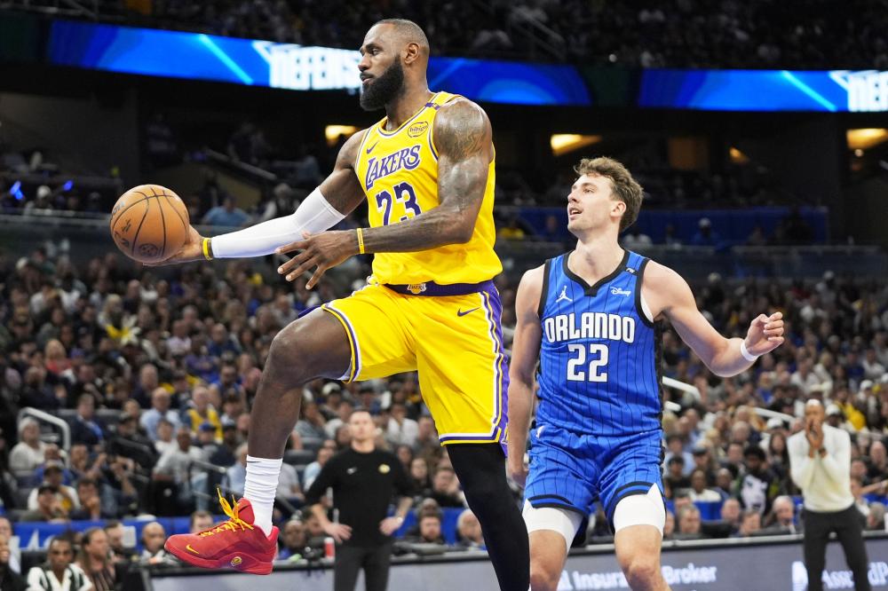 提供了借鉴 提供了借鉴